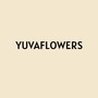 yuvavityant